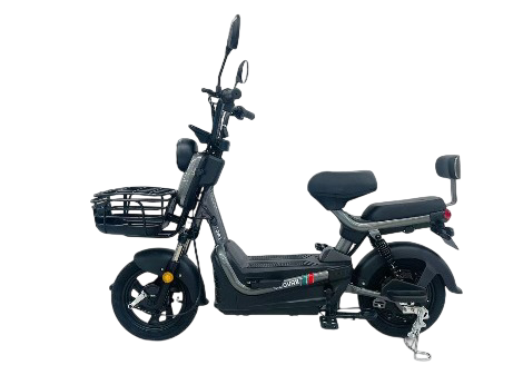 Transport Motorcycles